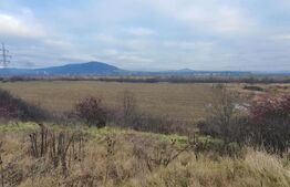 Teren 51 de ari la Drumul european