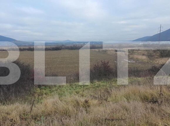 Teren de vânzare Viișoara - 170607TV | BLITZ Bistriţa | Poza3