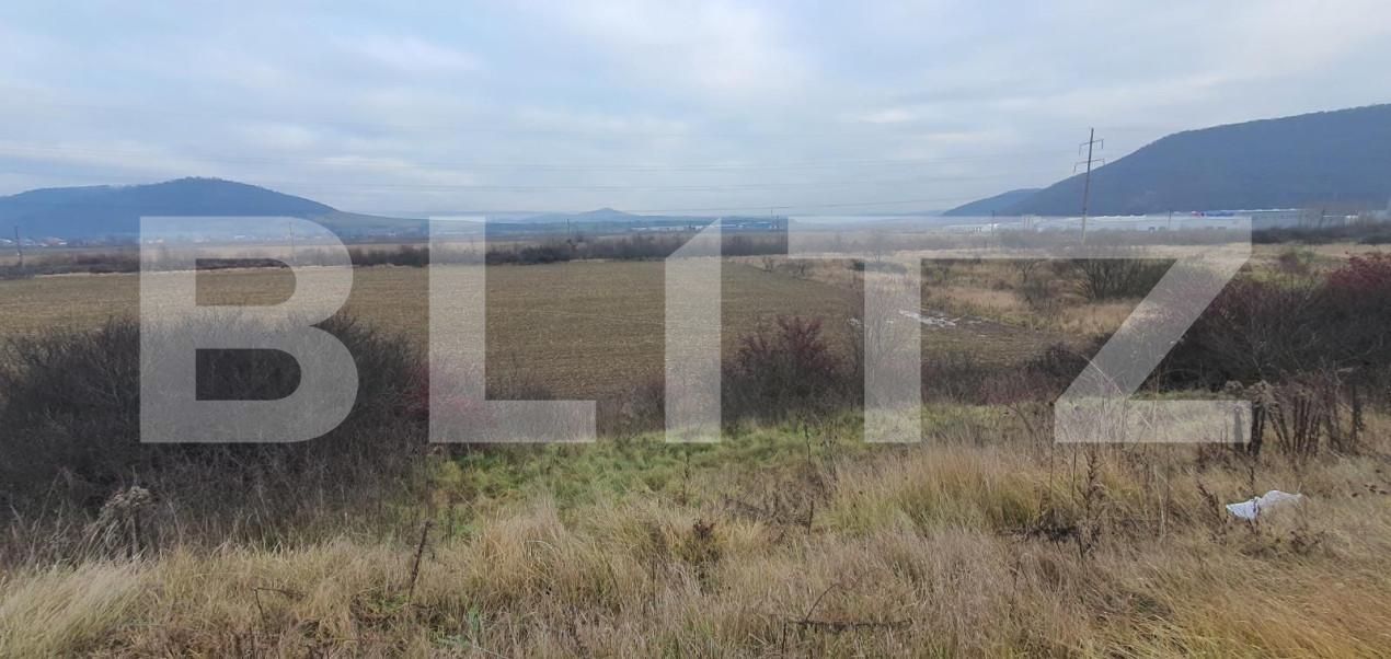 Teren de vânzare Viișoara - 170607TV | BLITZ Bistriţa | Poza3