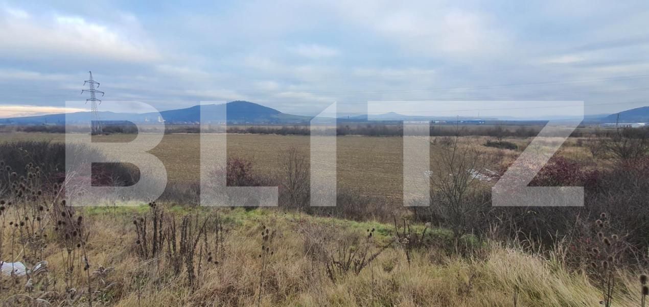 Teren de vânzare Viișoara - 170607TV | BLITZ Bistriţa | Poza4