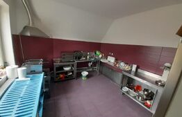 Afacere la cheie, spalatorie auto plus spatiu de joaca, 350 mp, Bistrita