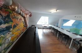 Casa cu spalatorie auto si mansarda spatiu locuinta/afacere, zona Judecatorie