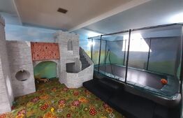 Afacere la cheie, spalatorie auto plus spatiu de joaca, 350 mp, Bistrita