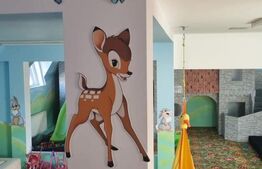 Afacere la cheie, spalatorie auto plus spatiu de joaca, 350 mp, Bistrita