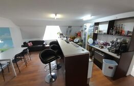 Casa cu spalatorie auto si mansarda spatiu locuinta/afacere, zona Judecatorie