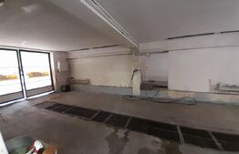 Afacere la cheie, spalatorie auto plus spatiu de joaca, 350 mp, Bistrita