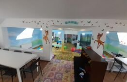 Casa cu spalatorie auto si mansarda spatiu locuinta/afacere, zona Judecatorie