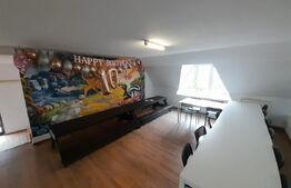 Casa cu spalatorie auto si mansarda spatiu locuinta/afacere, zona Judecatorie