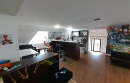 Casa cu spalatorie auto si mansarda spatiu locuinta/afacere, zona Judecatorie