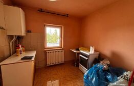 Apartament cu 2 camere, decomandat, 55 mp, zona Cr Vivu