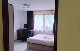 Casa in Teaca cu 4 camere si 10 ari de teren