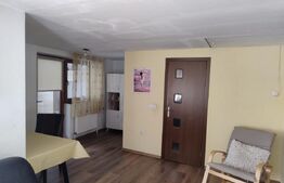 Casa in Teaca cu 4 camere si 10 ari de teren