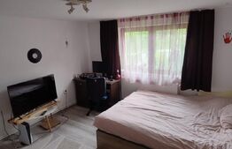 Casa in Teaca cu 4 camere si 10 ari de teren