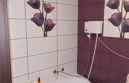 Casa Individuala zona Centrala