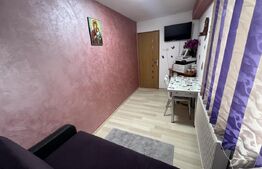 Garsoniera de vanzare, 25 mp, zona Calea Moldovei 