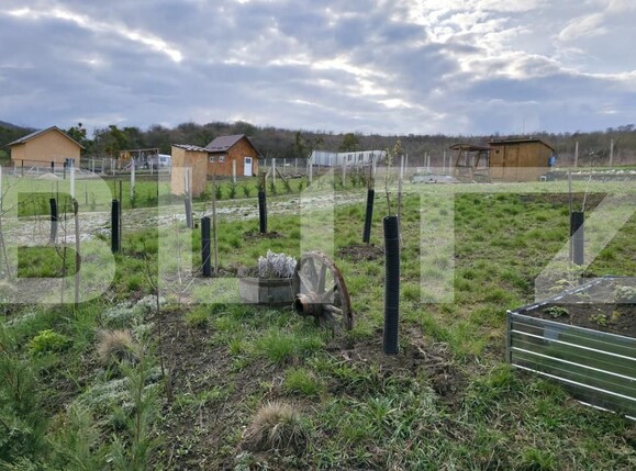 Teren de vânzare Sud - 170848TV | BLITZ Bistriţa | Poza1