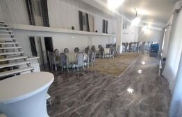 EXCLUSIVITATE! Pensiune 10 camere si Aqua parc, Prundu Bargaului