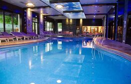 EXCLUSIVITATE! Pensiune 10 camere si Aqua parc, Prundu Bargaului