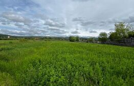 🌳Teren extravilan 2.800 mp în Livezile