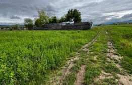 🌳Teren extravilan 2.800 mp în Livezile