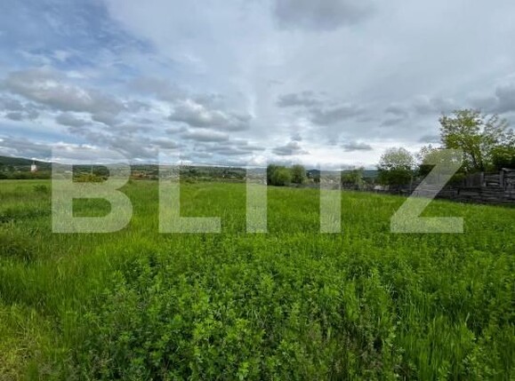 Teren de vânzare Livezile - 171069TV | BLITZ Bistriţa | Poza1