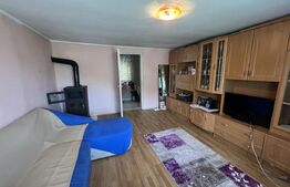 Casa 5 camere +29 ari teren la 30km de Bistrita