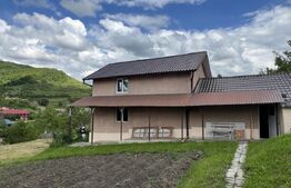 Casa 5 camere +29 ari teren la 30km de Bistrita