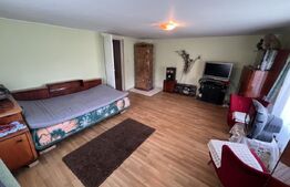 Casa 5 camere +29 ari teren la 30km de Bistrita