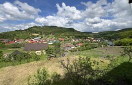 Casa 5 camere +29 ari teren la 30km de Bistrita