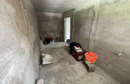 Casa 5 camere +29 ari teren la 30km de Bistrita