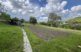 Casa 5 camere +29 ari teren la 30km de Bistrita