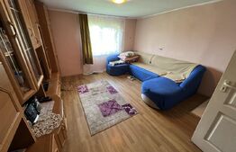 Casa 5 camere +29 ari teren la 30km de Bistrita