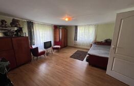 Casa 5 camere +29 ari teren la 30km de Bistrita