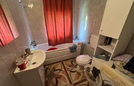 Casa 5 camere +29 ari teren la 30km de Bistrita