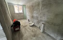 Casa 5 camere +29 ari teren la 30km de Bistrita