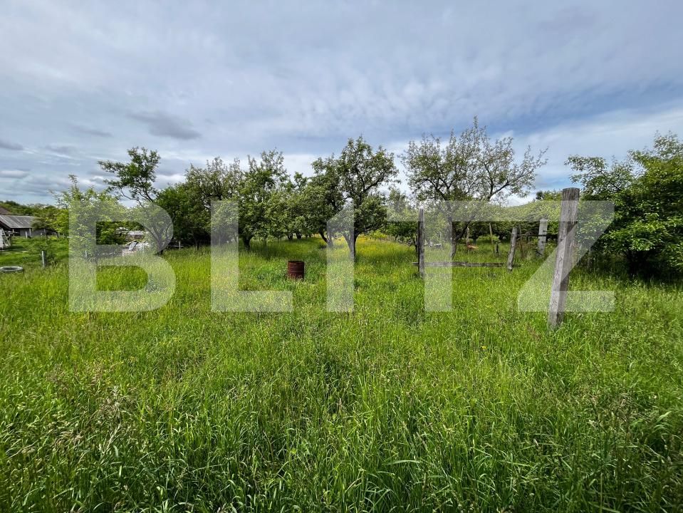 Casa de vânzare 7 camere Exterior Est - 171072CV | BLITZ Bistriţa | Poza24