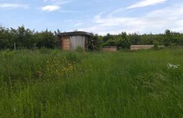 Teren intravilan, de vanzare, 7 ari, zona Subcetate