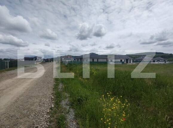 Teren de vânzare Exterior Sud - 171139TV | BLITZ Bistriţa | Poza2