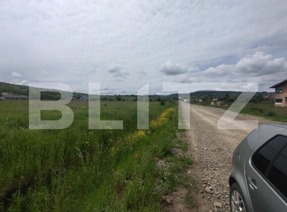 Teren de vânzare Exterior Sud - 171139TV | BLITZ Bistriţa | Poza1