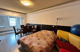 Apartament de vanzare, cu 1 camera, 44 mp, zona Sensul Vechi