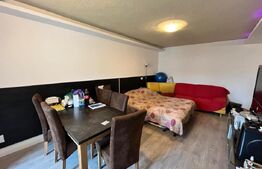 Apartament de vanzare, cu 1 camera, 44 mp, zona Sensul Vechi