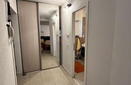 Apartament de vanzare, cu 1 camera, 44 mp, zona Sensul Vechi