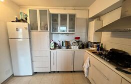 Apartament de vanzare, cu 1 camera, 44 mp, zona Sensul Vechi