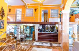 Casă de vanzare, cu 10 camere, 1200 mp, zona Dipsa