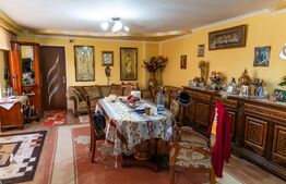 Casă de vanzare, cu 10 camere, 1200 mp, zona Dipsa
