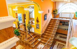 Casă de vanzare, cu 10 camere, 1200 mp, zona Dipsa