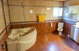 Casă de vanzare, cu 10 camere, 1200 mp, zona Dipsa