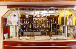 Casă de vanzare, cu 10 camere, 1200 mp, zona Dipsa