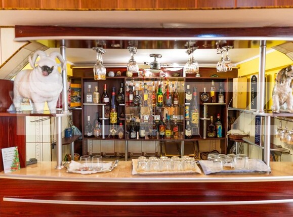 Casa de vânzare 10 camere Exterior Sud - 171206CV | BLITZ Bistriţa | Poza20