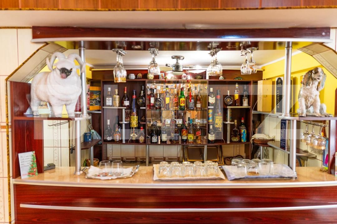 Casa de vânzare 10 camere Exterior Sud - 171206CV | BLITZ Bistriţa | Poza20